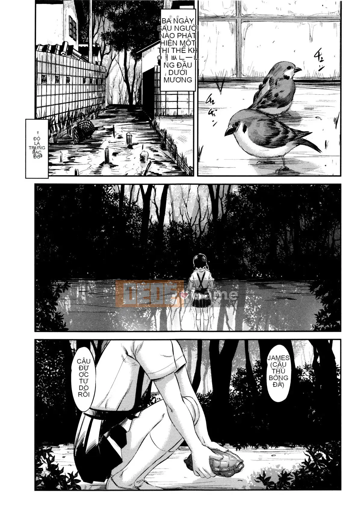 [Kokoroshima Saki] Hiiragi 1-5