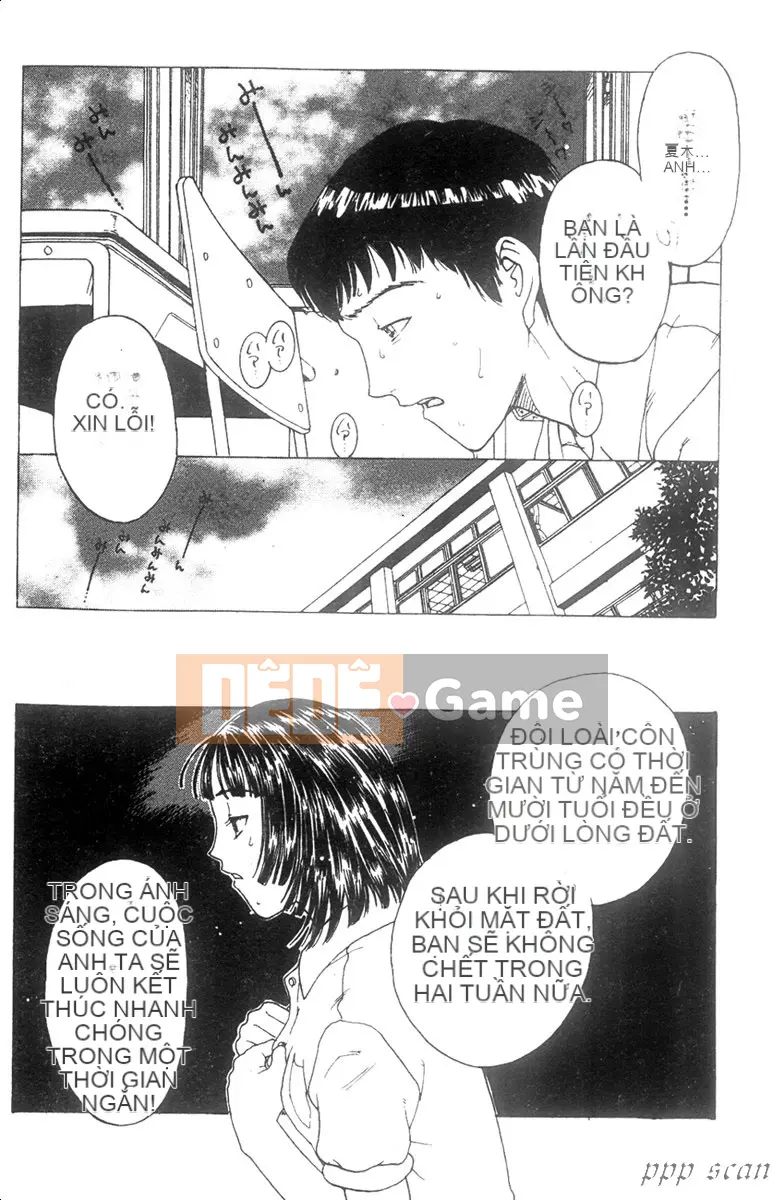 [Kobayashi Shonen] Danh mục nô lệ tình dục [Trung bình]