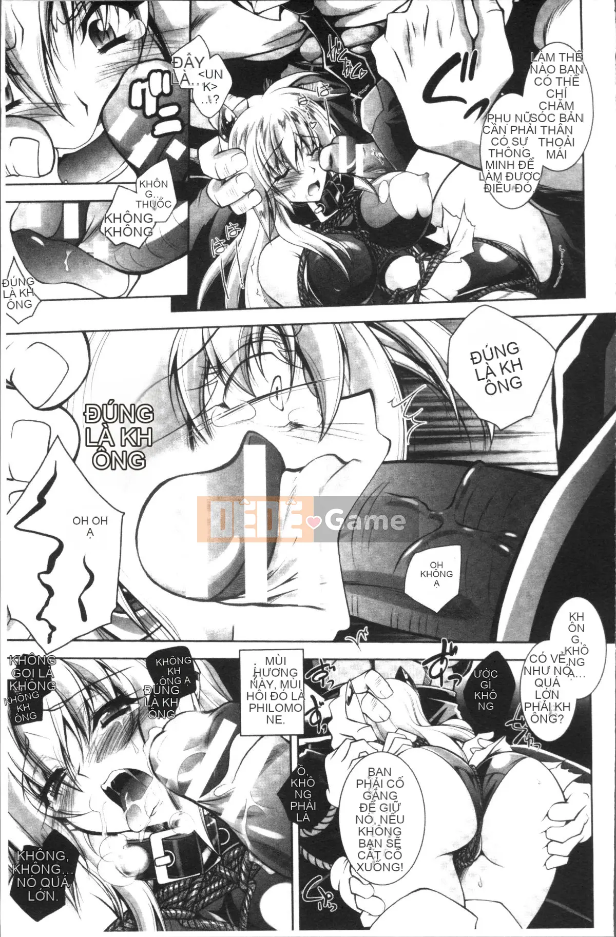 [Nhóm càn quét 4K][Pafe] Fallen Justice