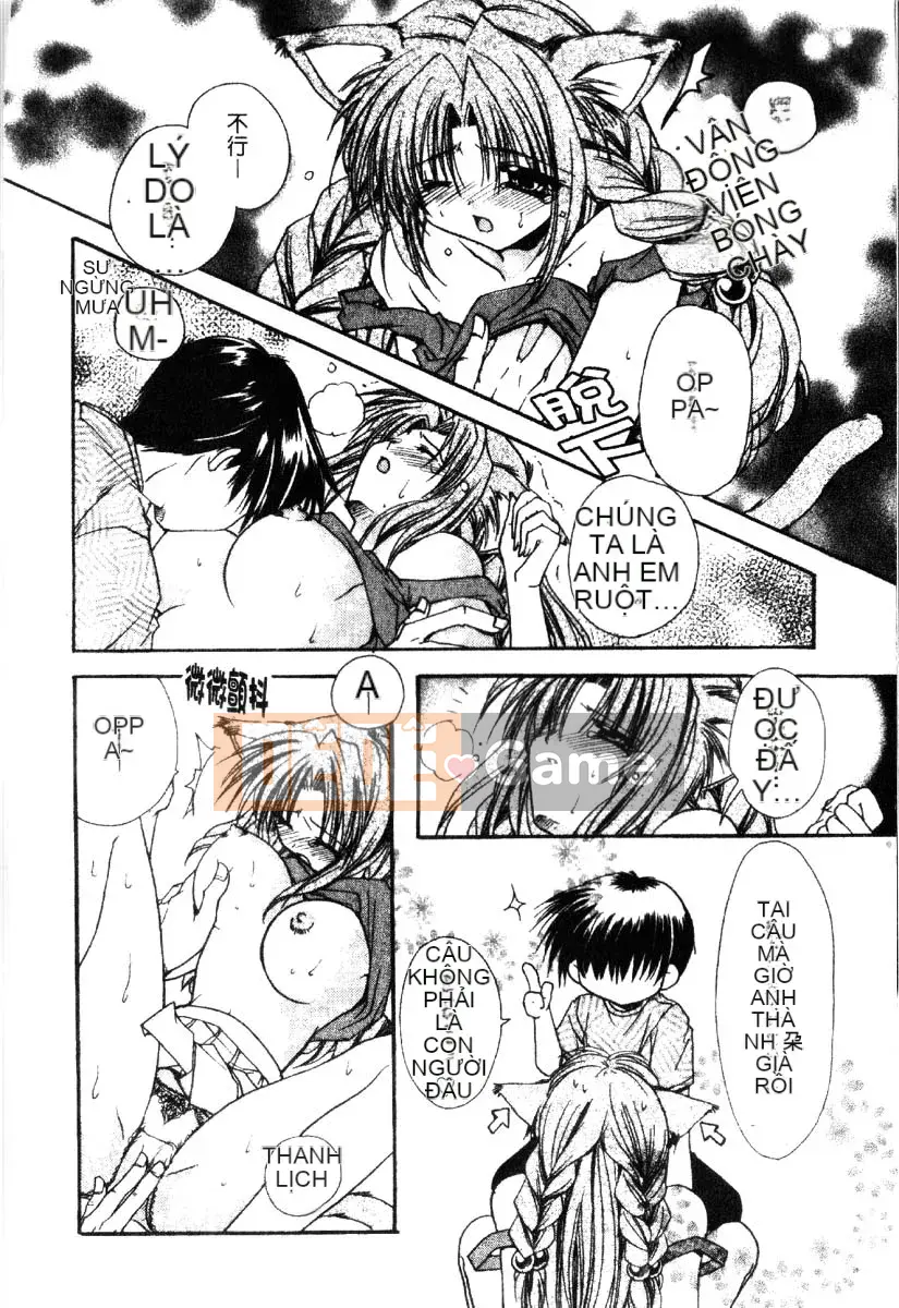 [Ryuugasho] Dynamite Miko [Trung bình]