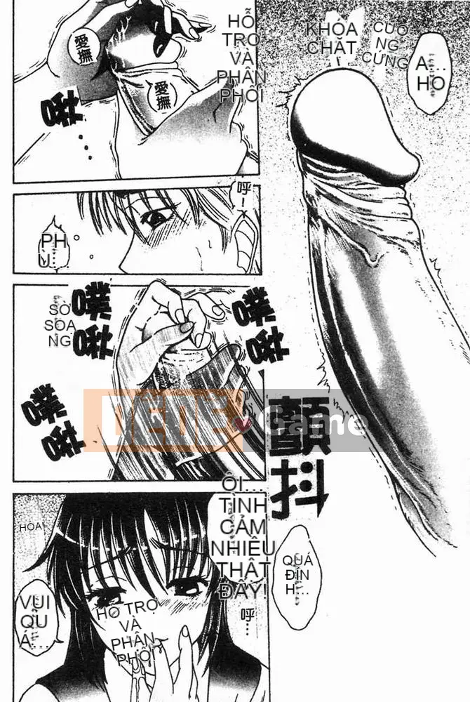 [Kaoru Shimamoto] Tình yêu loạn luân [Trung bình]