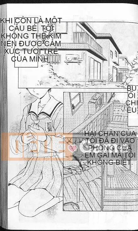 [ Caramerudou ] Vị caramel [ Vừa ]