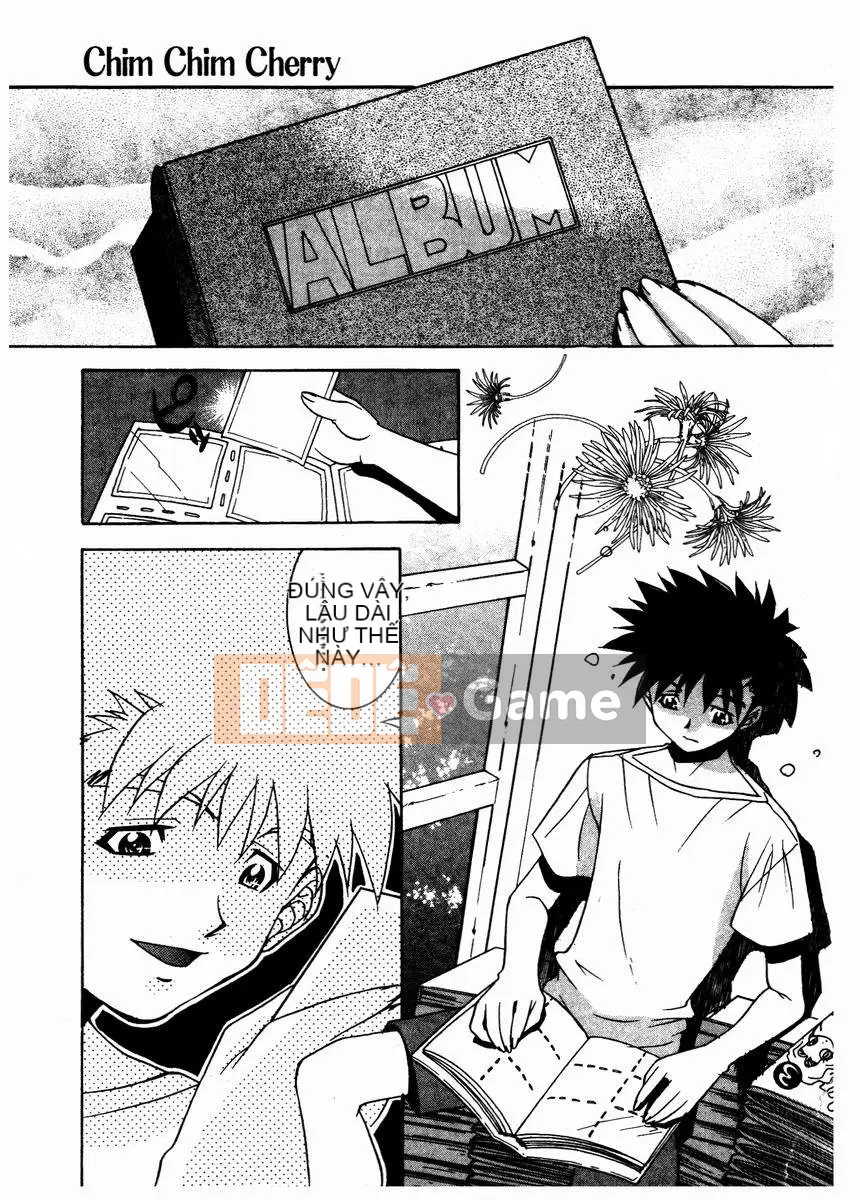 [Takuto] Chim Chim Anh Đào [Medium]