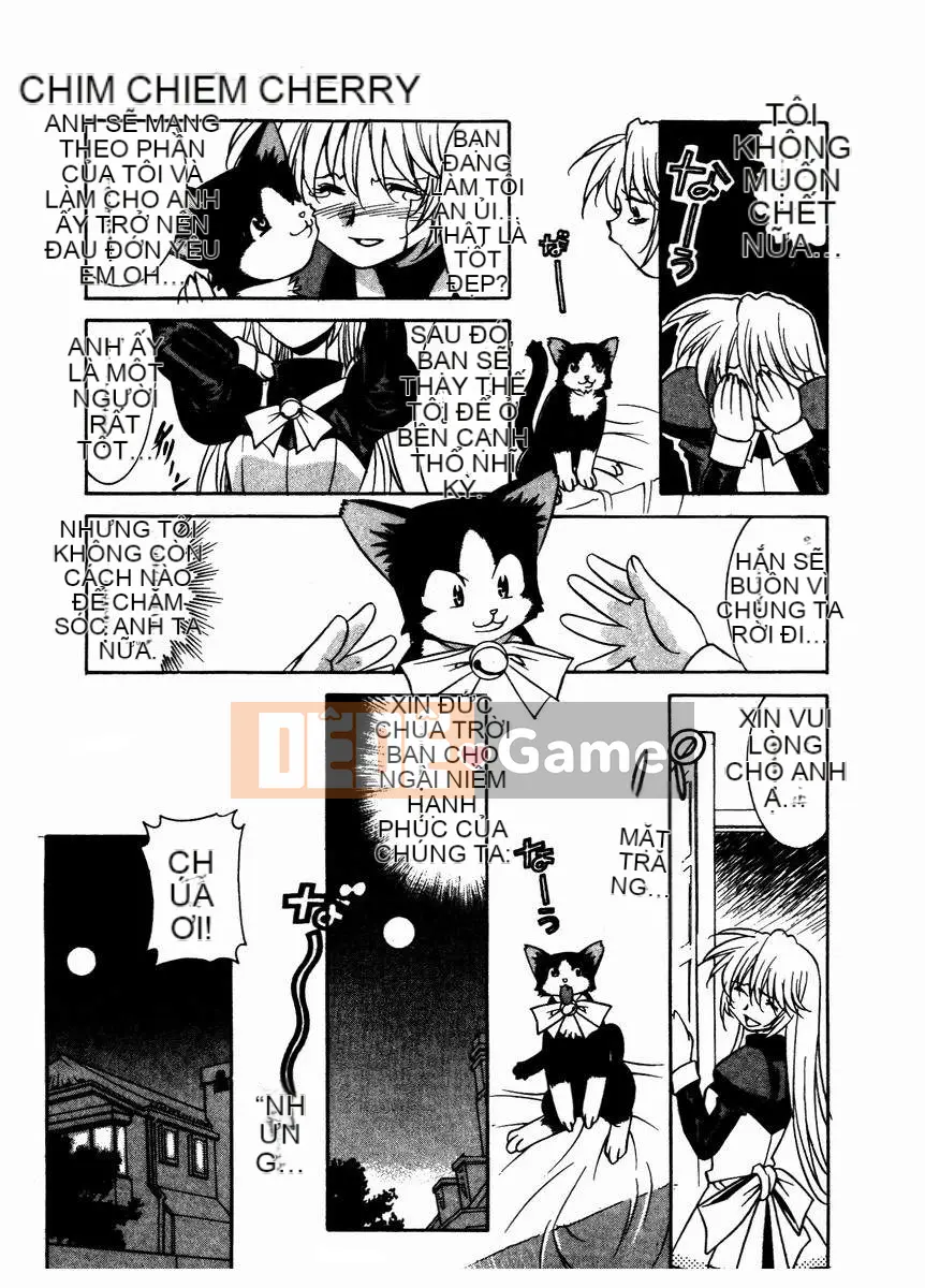 [Takuto] Chim Chim Anh Đào [Medium]