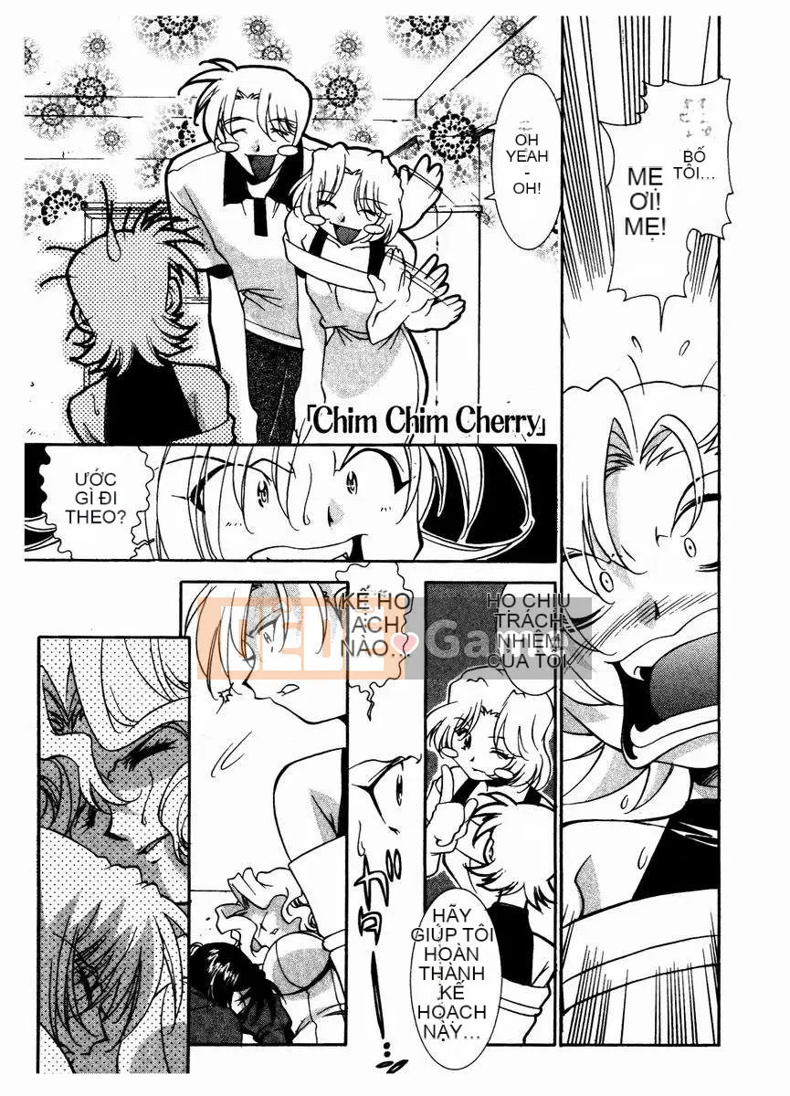 [Takuto] Chim Chim Anh Đào [Medium]