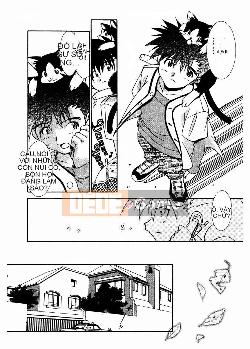 [Takuto] Chim Chim Anh Đào [Medium]