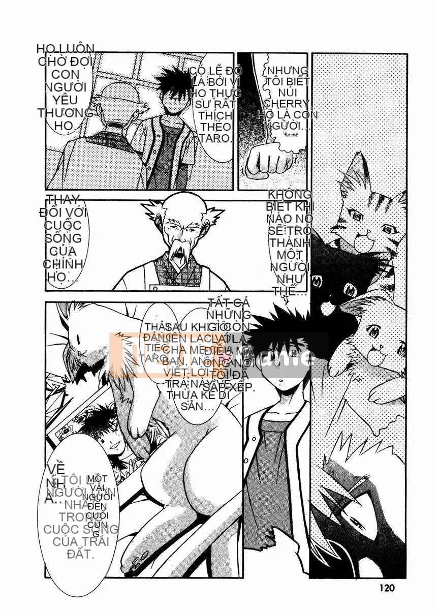 [Takuto] Chim Chim Anh Đào [Medium]