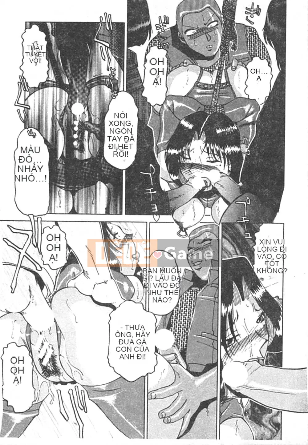 [Swiss Eastern Airlines] B.A.D [中]