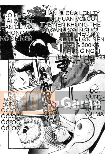 [Hiroshi Itaba] MẪU [Trung bình]