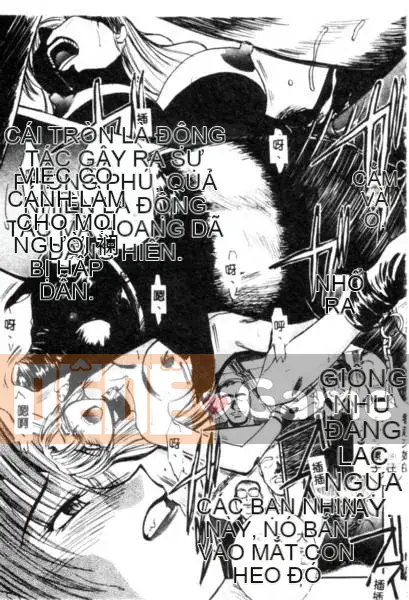 [Hiroshi Itaba] MẪU [Trung bình]