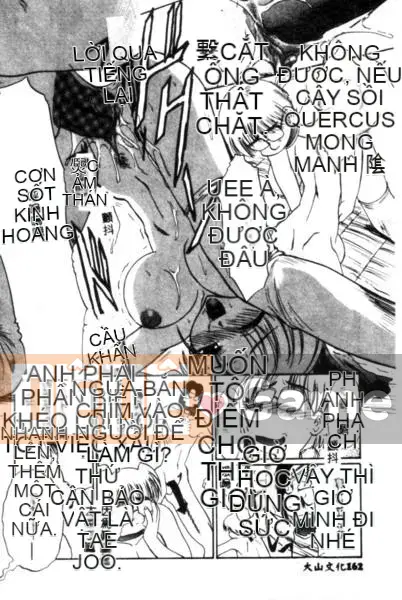 [Hiroshi Itaba] MẪU [Trung bình]