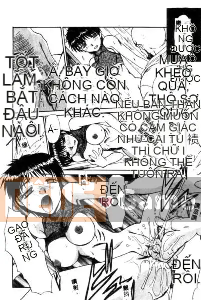 [Hiroshi Itaba] MẪU [Trung bình]