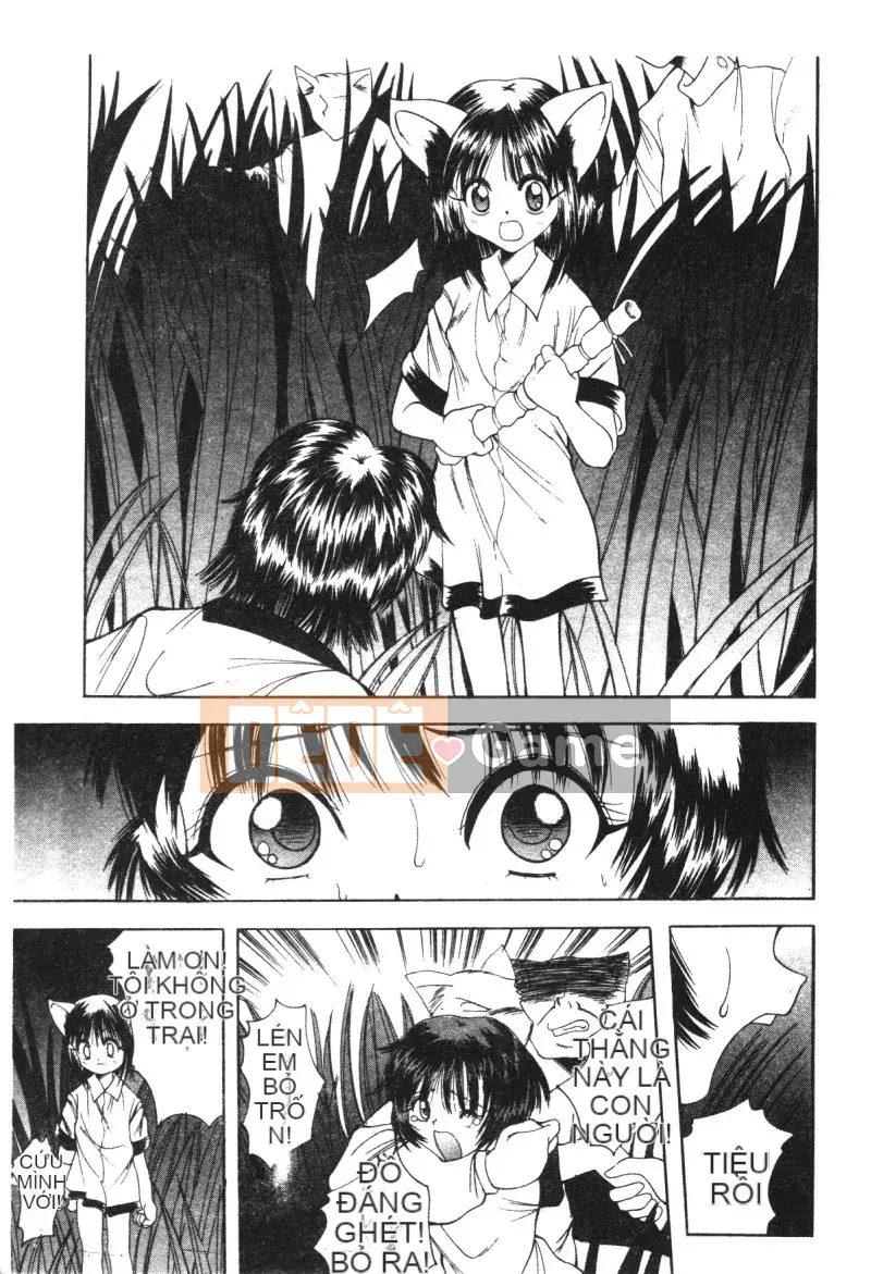 [Tuyển tập] Người đẹp động vật trong nhà Maki no 5 [Chu]