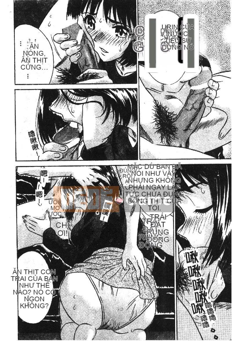 [Tuyển tập] Kindan Kinin Vol.18 Mẹ con Kinin [Chuu]