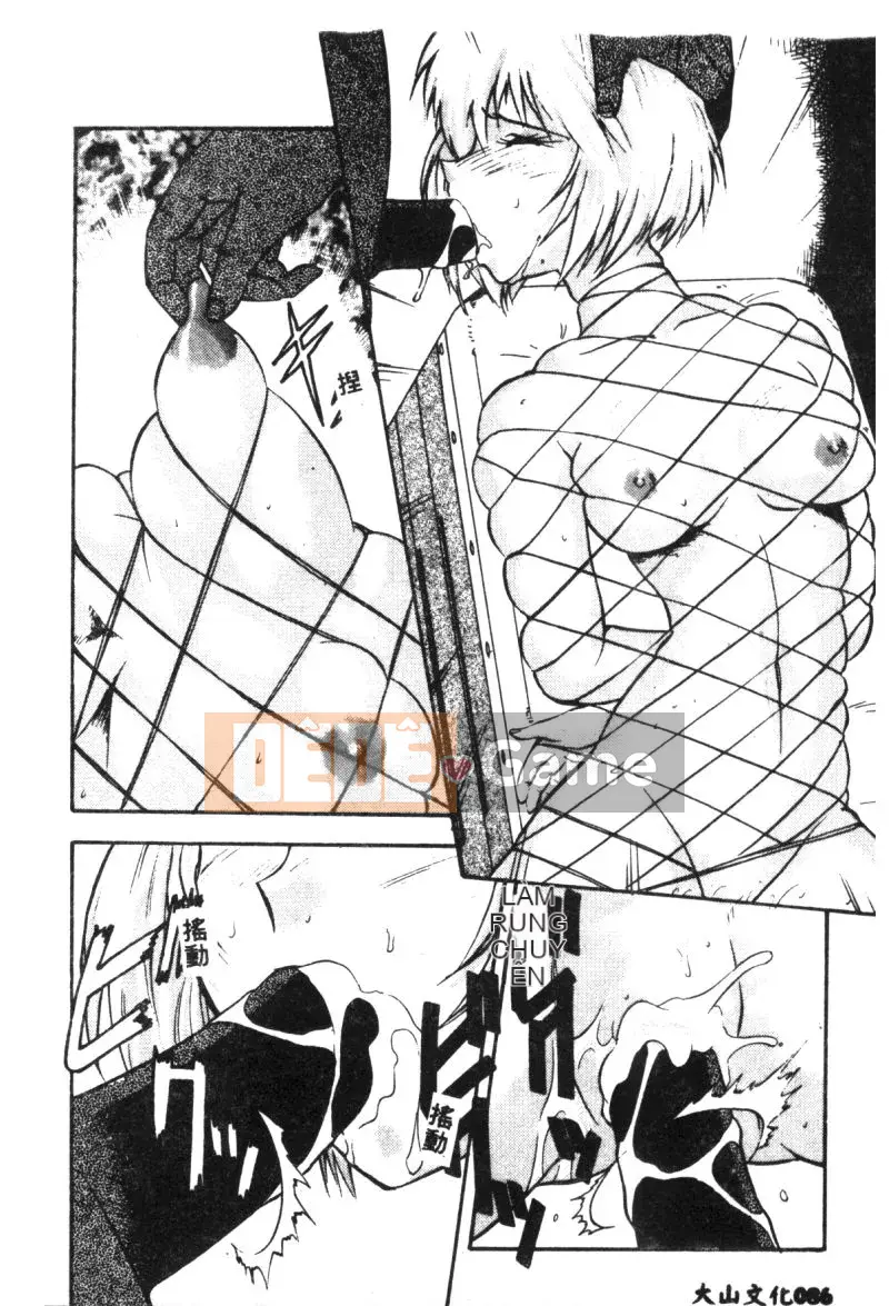 [Tuyển tập] Lost Paradise 2 (Neon Genesis Evangelion) [Chu]