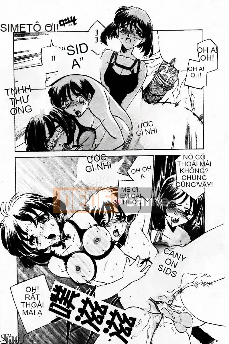 [Tuyển tập] Kanin no Ie Vol.3 ~Ane to Otou~ [Chuu]