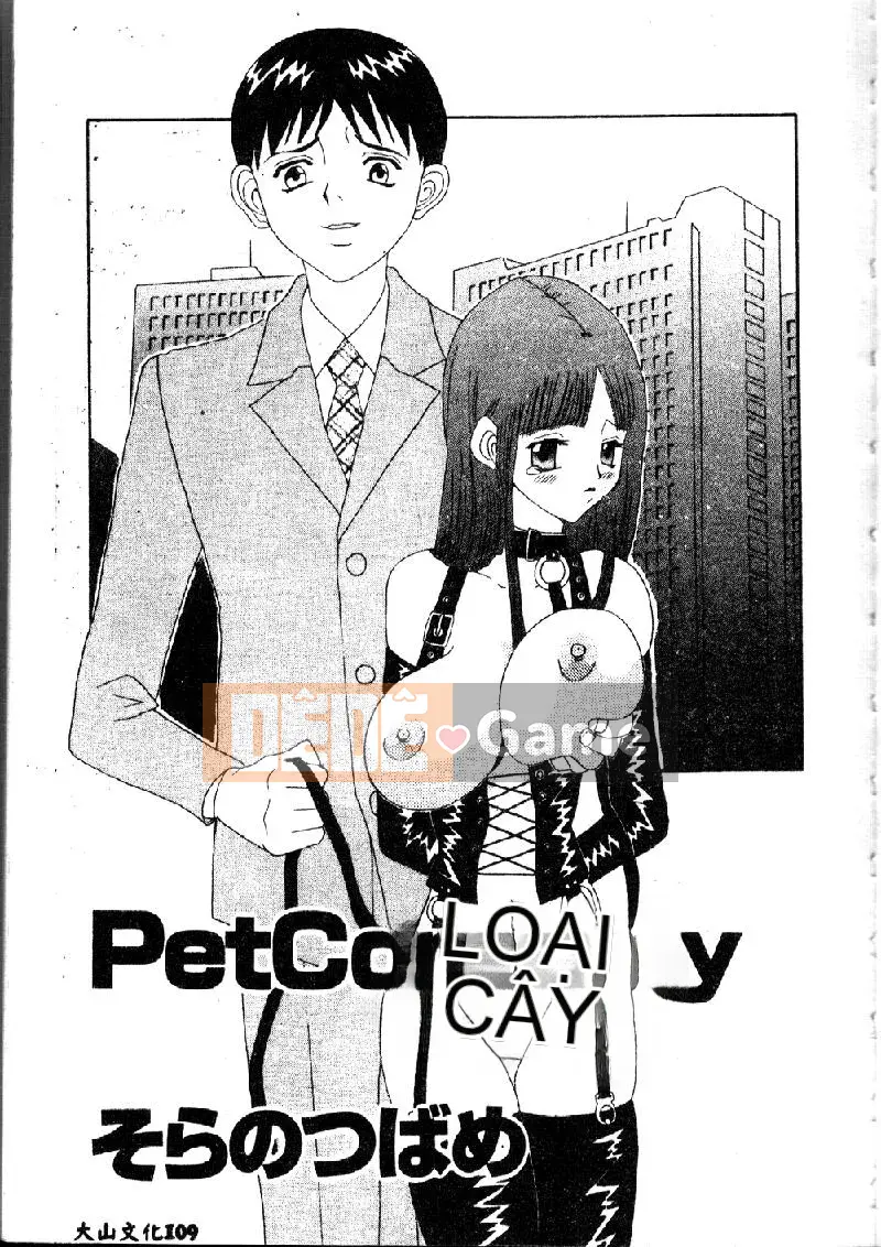 [Tuyển tập] Điệu nhảy xích [Trung]