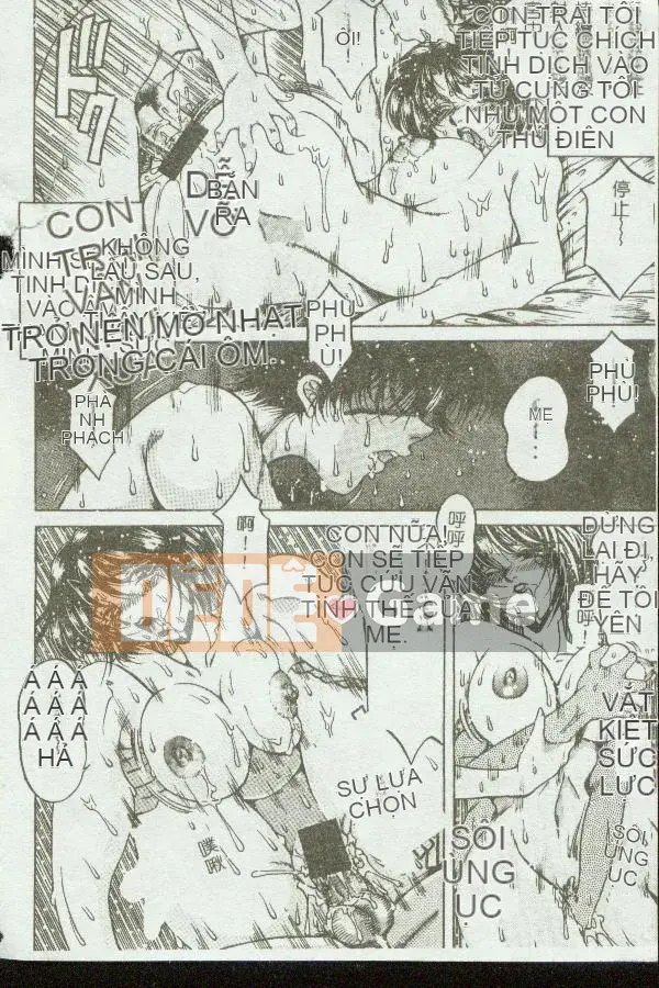 [Tuyển tập] Kinbo Inkan VIII [Chuu]