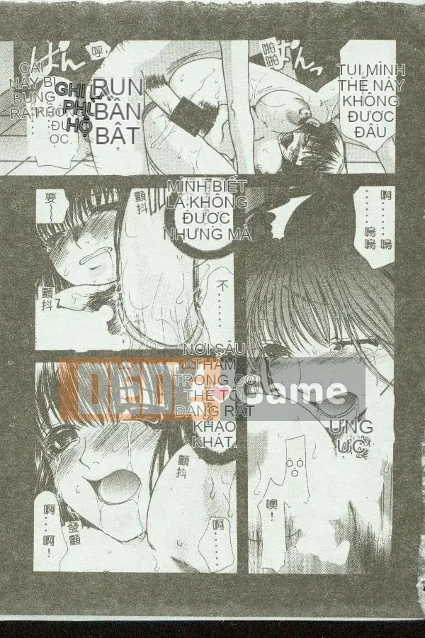 [Tuyển tập] Kinbo Inkan VIII [Chuu]