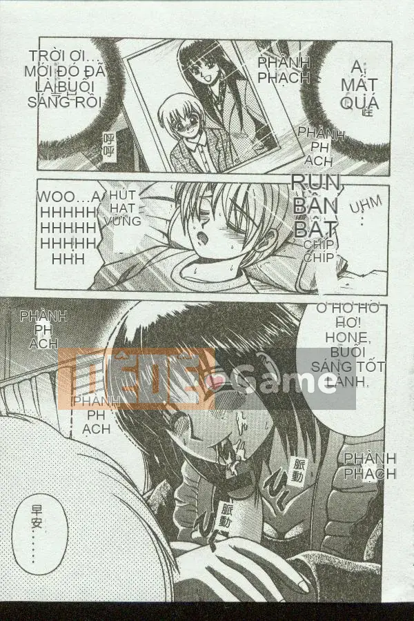 [Tuyển tập] Kinbo Inkan VIII [Chuu]