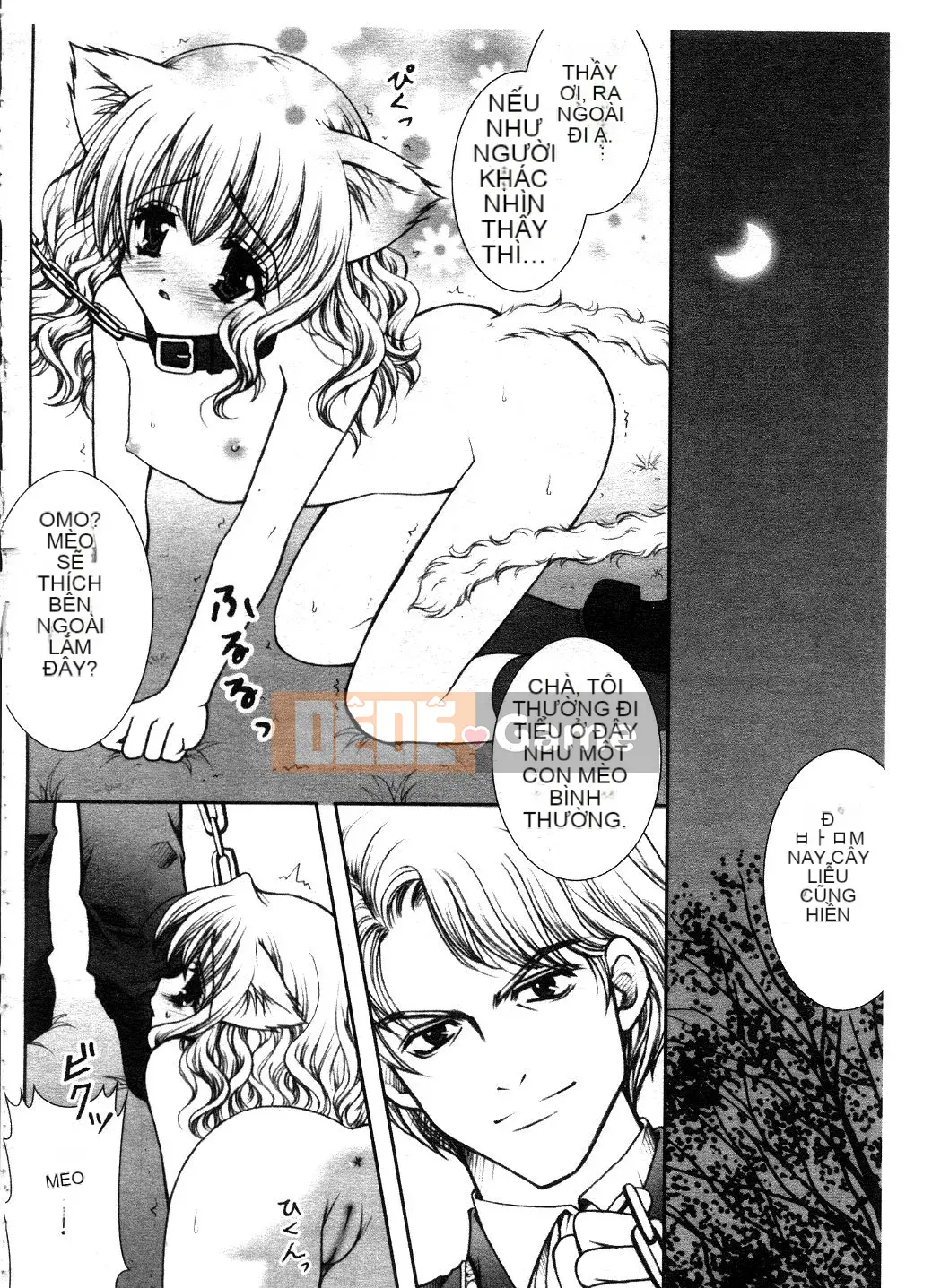 [Tuyển tập] Harry Potter Tập 1 [Chu]