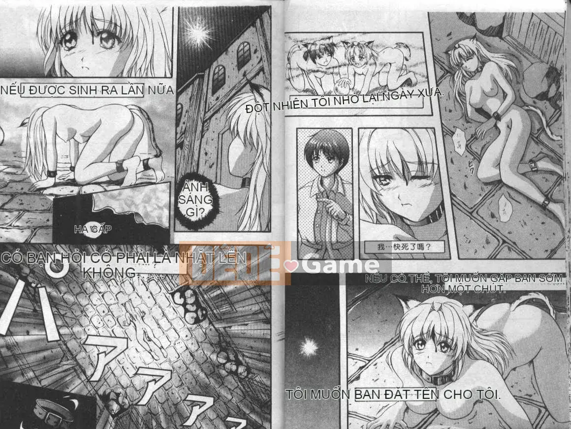 [Tuyển Tập] Những Cô Gái Mèo [Chuu]