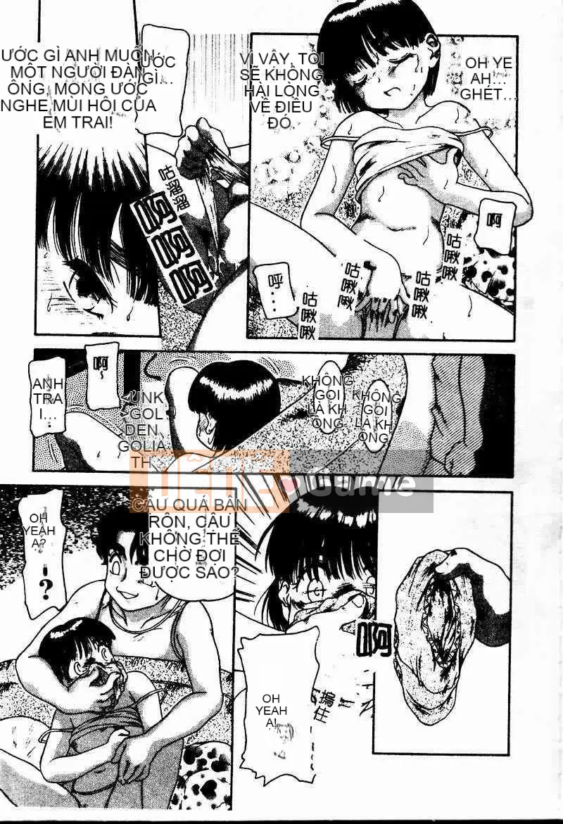 [Tuyển tập] Imouto Koishi 4 [Chuu]