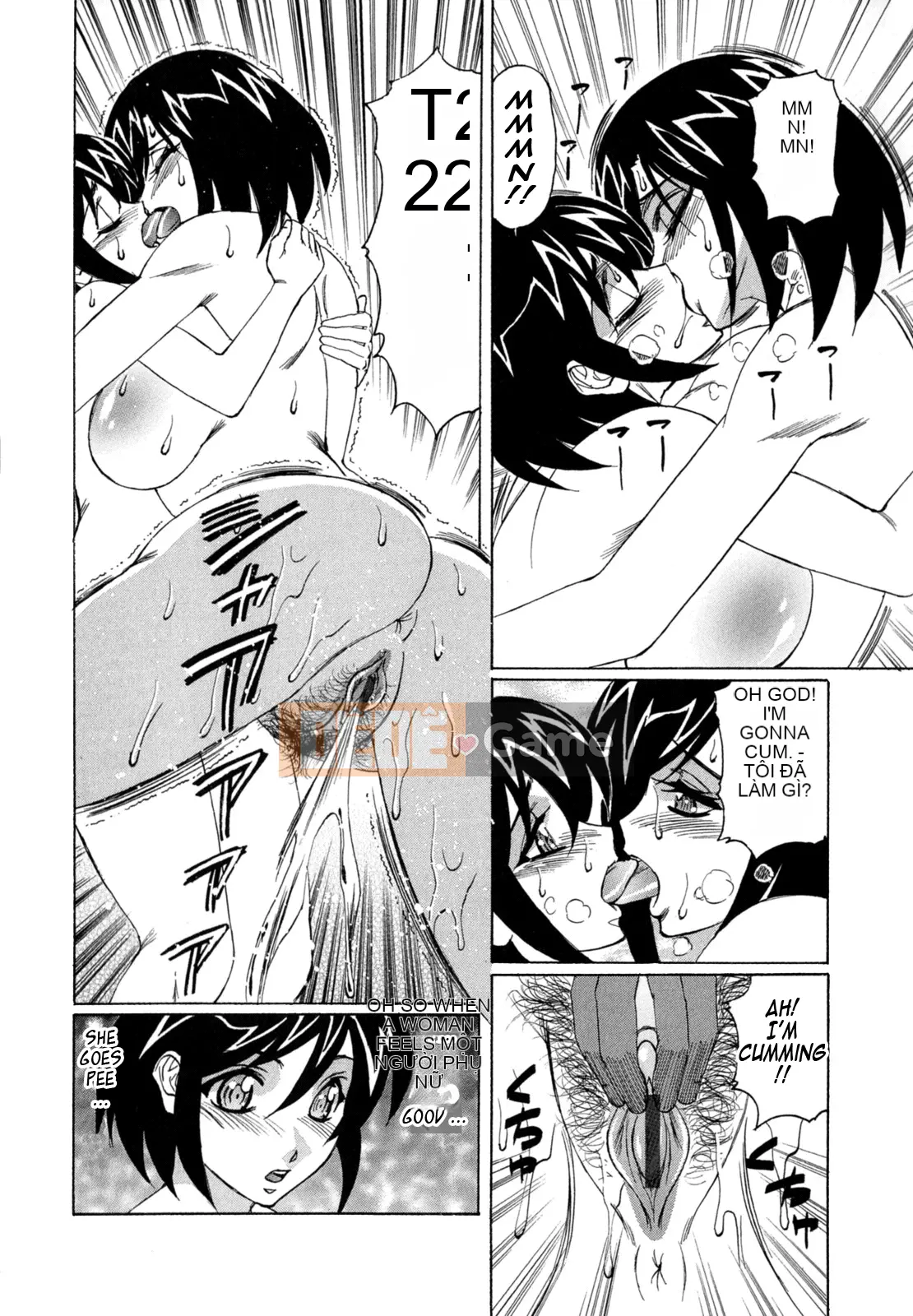 Yoshifumi Yamamoto - Nhật ký bánh kem của tôi