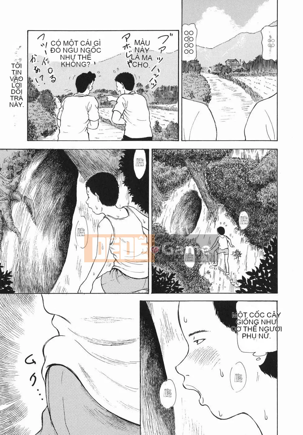 [shon han][phá ác] nhỏ giọt mật ngọt