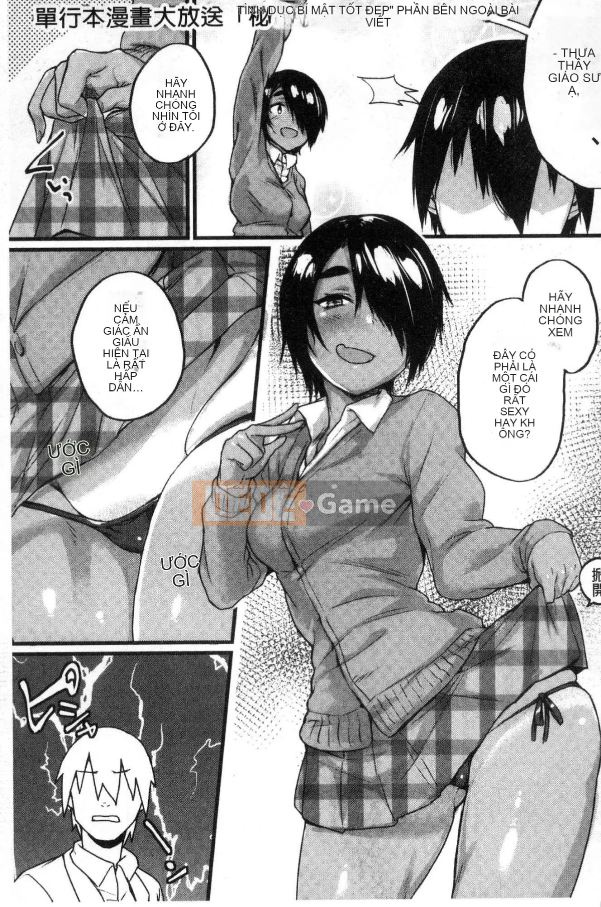 [Kazeteki Koubou][Lama] Đồ trang trí bí mật