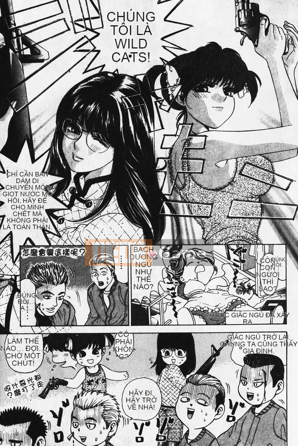 [Takumi Kobayashi] Mèo hoang [Tiếng Trung] [Chưa hoàn thành]