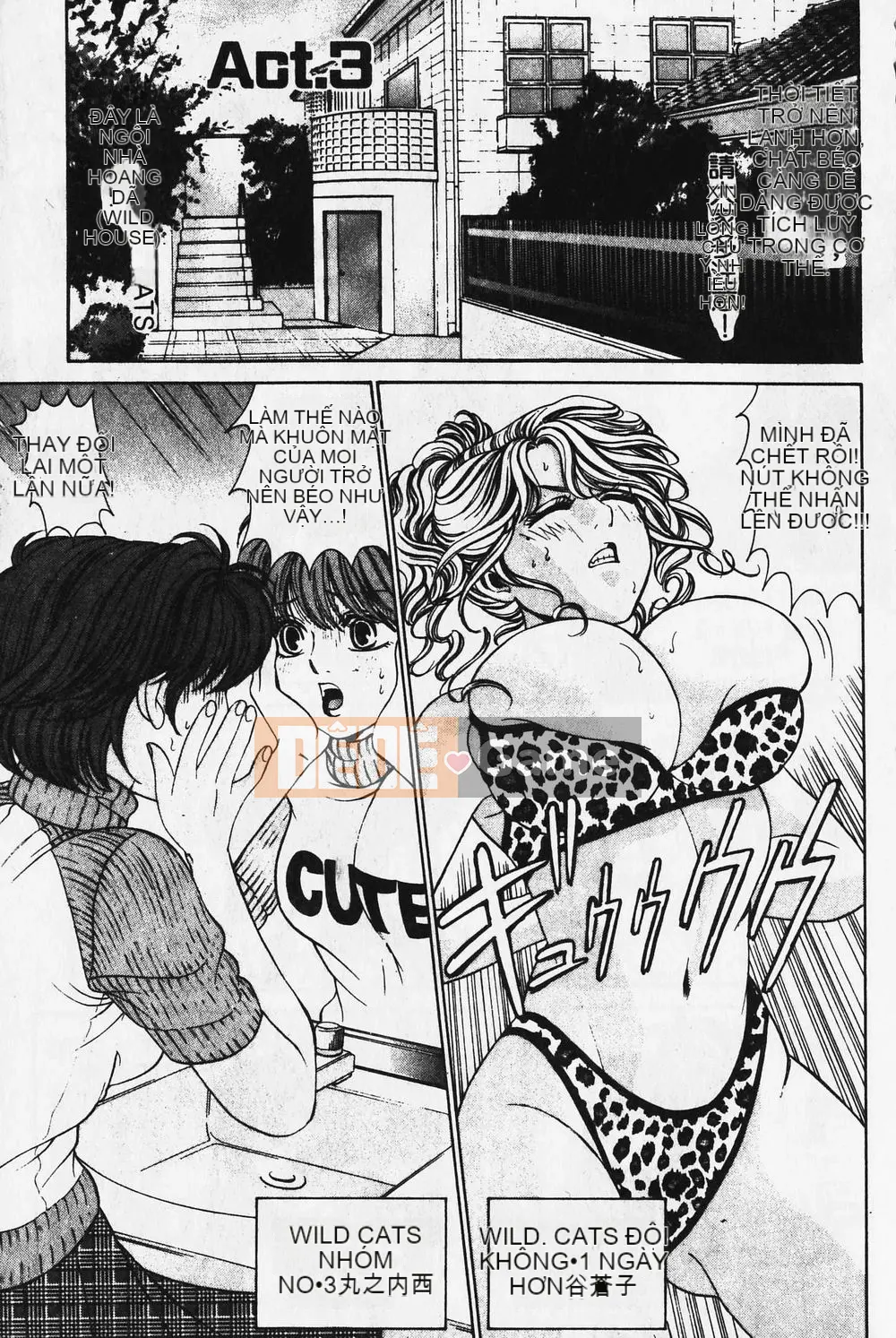 [Takumi Kobayashi] Mèo hoang [Tiếng Trung] [Chưa hoàn thành]