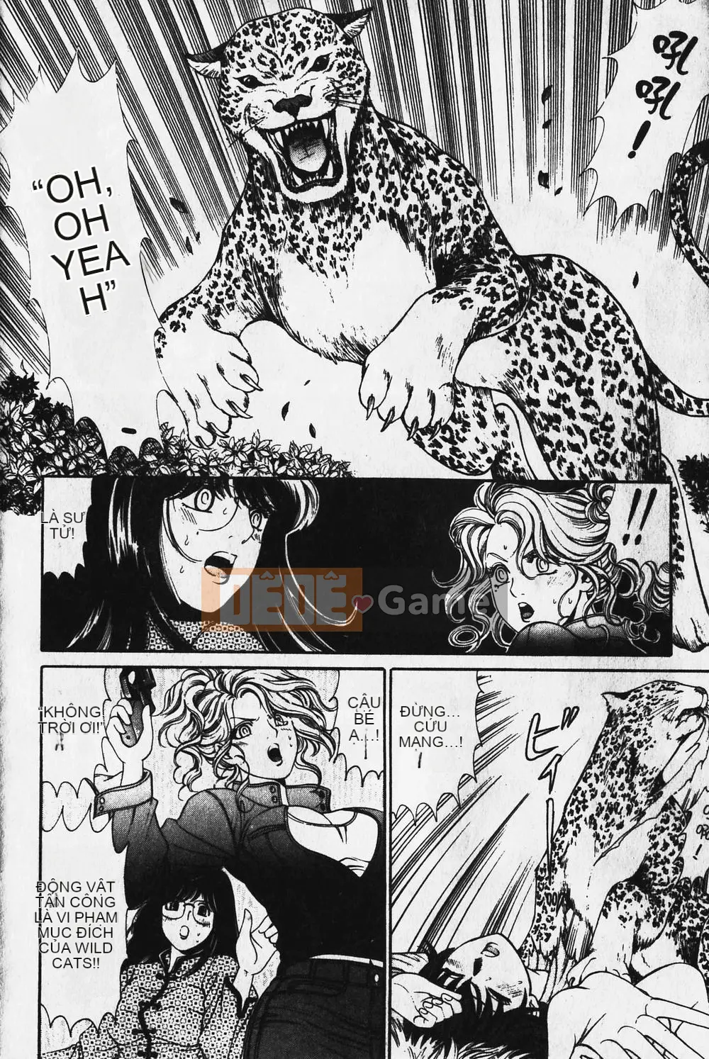 [Takumi Kobayashi] Mèo hoang [Tiếng Trung] [Chưa hoàn thành]