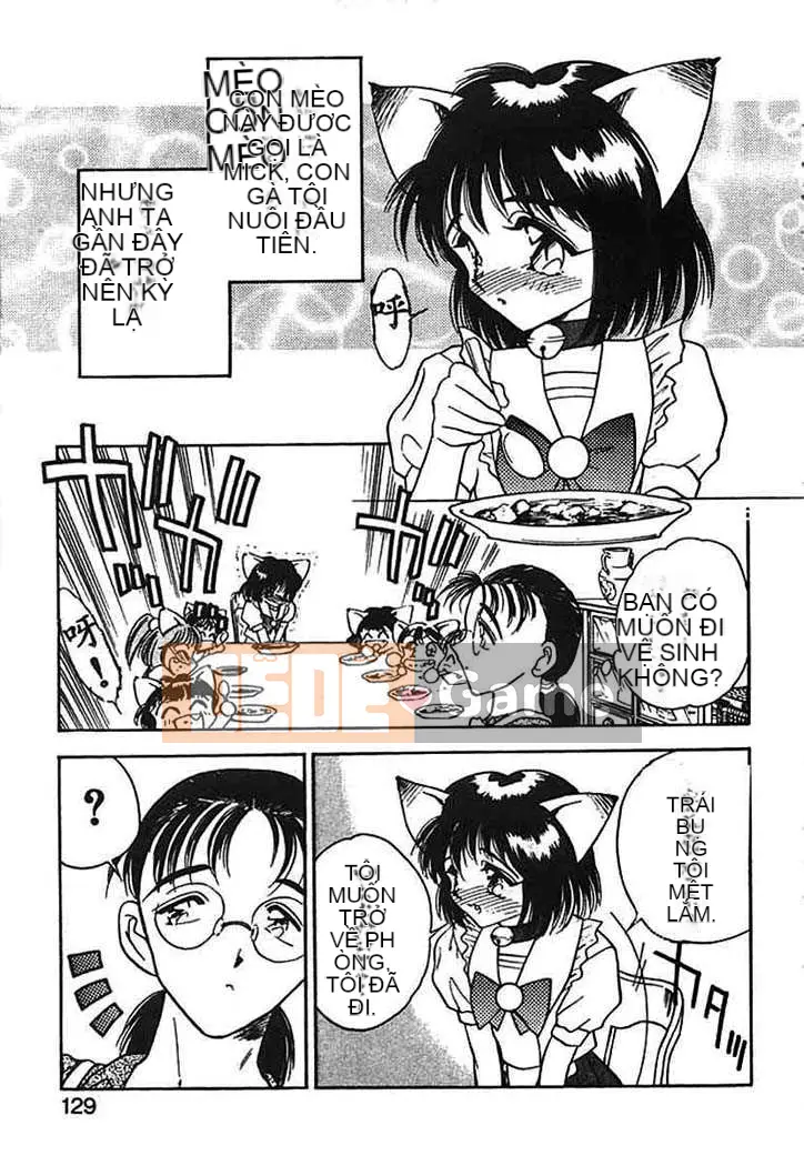 [Aura Seiji] Bí ngô xanh nhạt