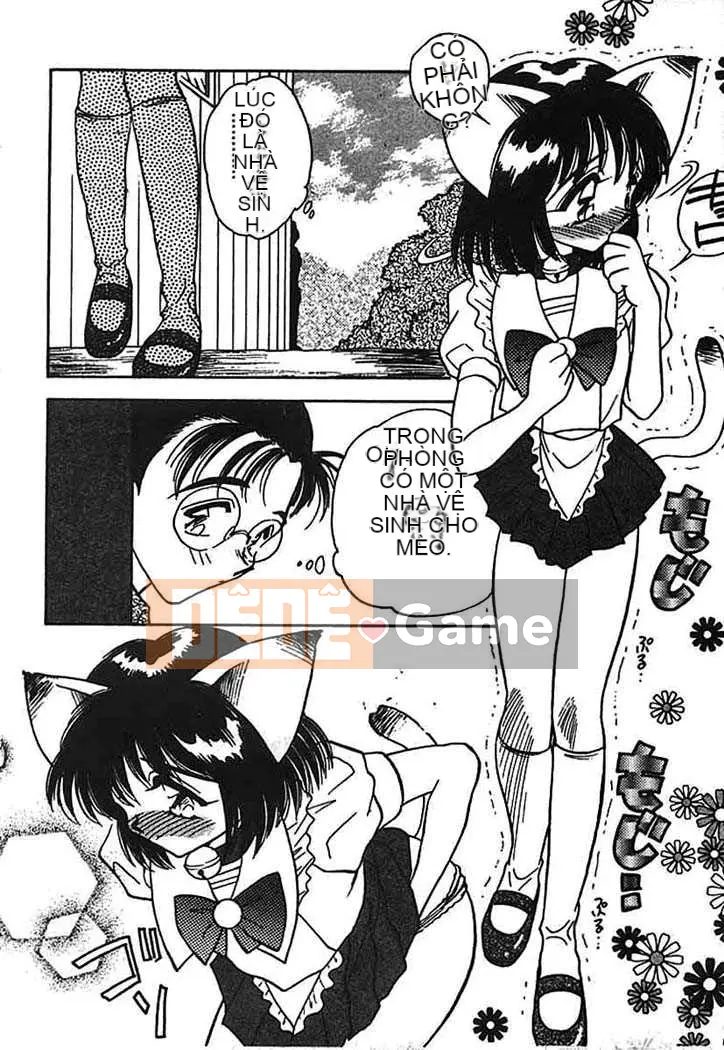 [Aura Seiji] Bí ngô xanh nhạt