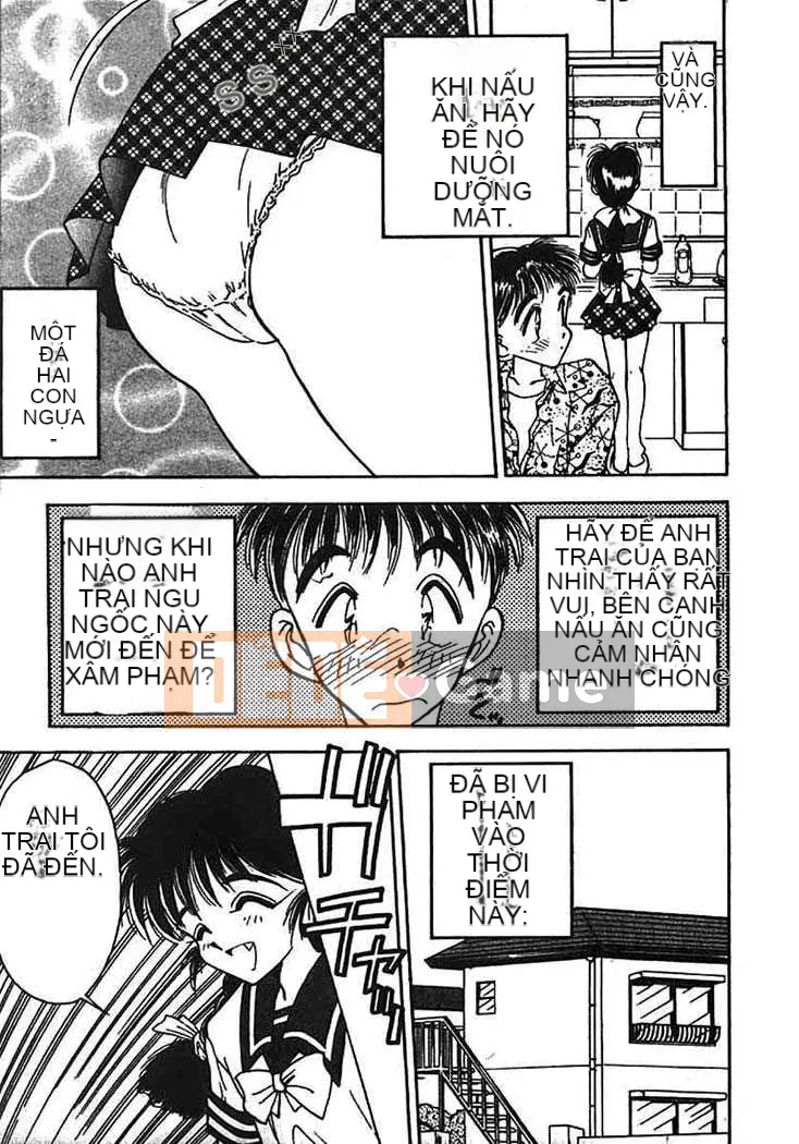 [Aura Seiji] Bí ngô xanh nhạt