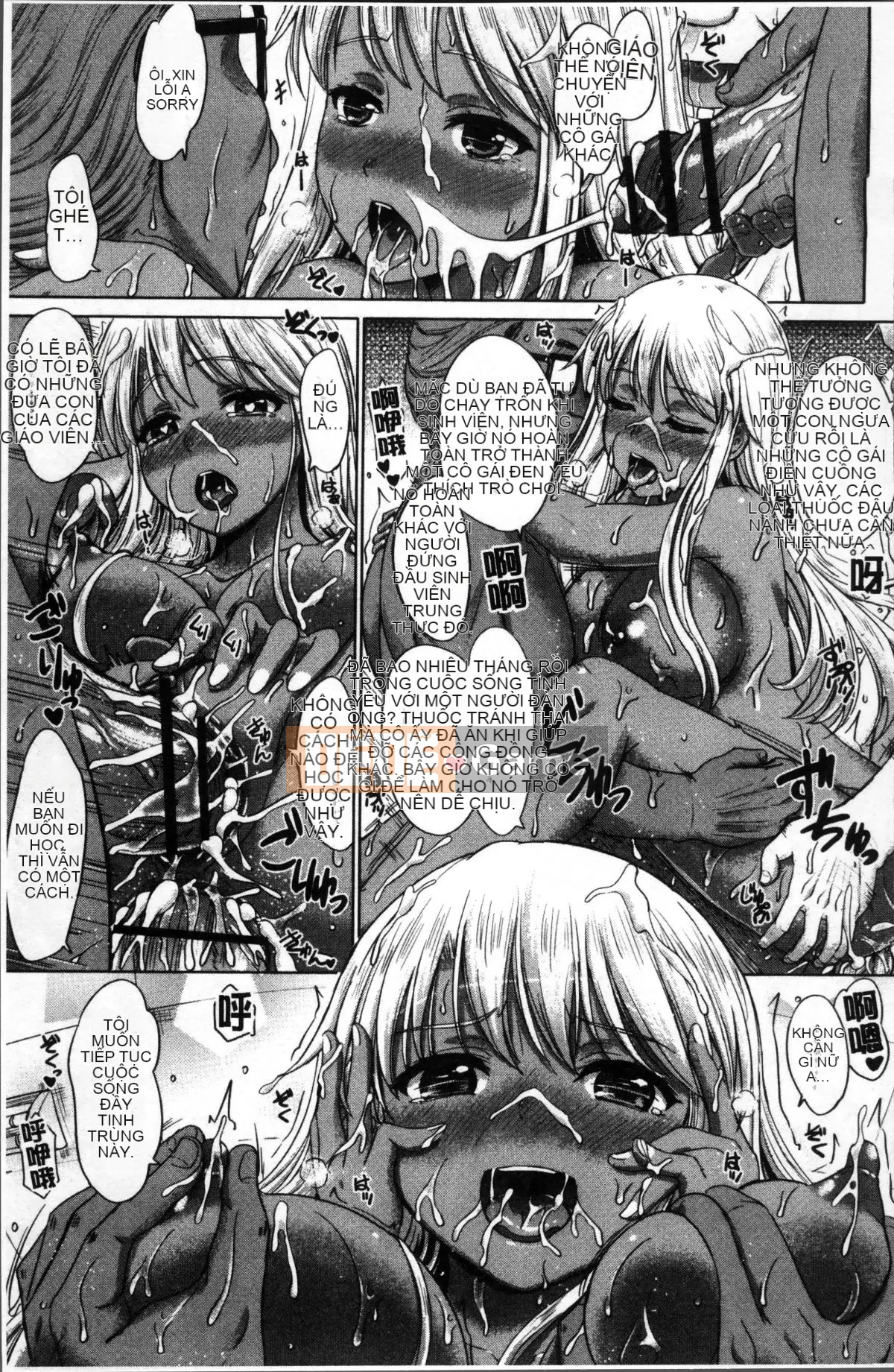 [Nhóm súp 4K][Shiki Inanari] Album học tập của họ