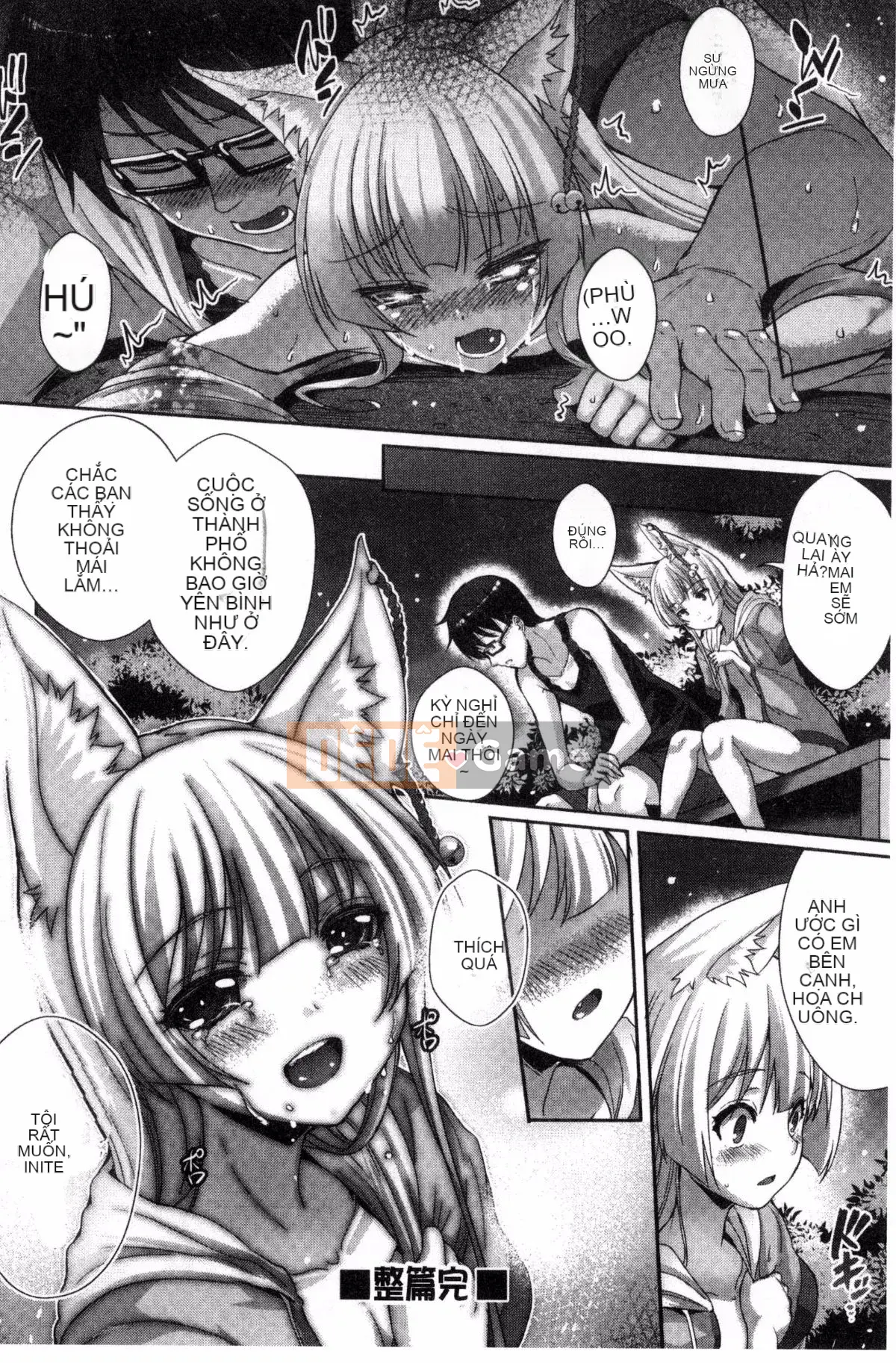 [Wind Workshop][Cat Yiguang] Tình yêu thuần khiết ストライク Cuộc tấn công khoái cảm của tình yêu thuần khiết