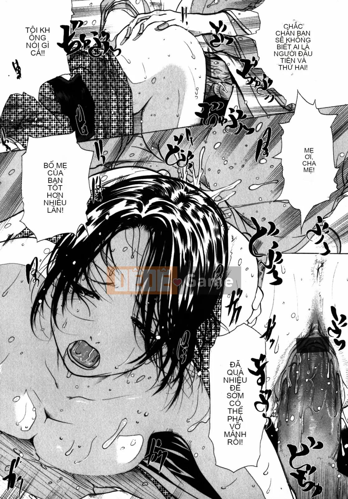 [LINDA] Bộ sưu tập tự chọn Koizuma Koizuma LINDA Shobunkan