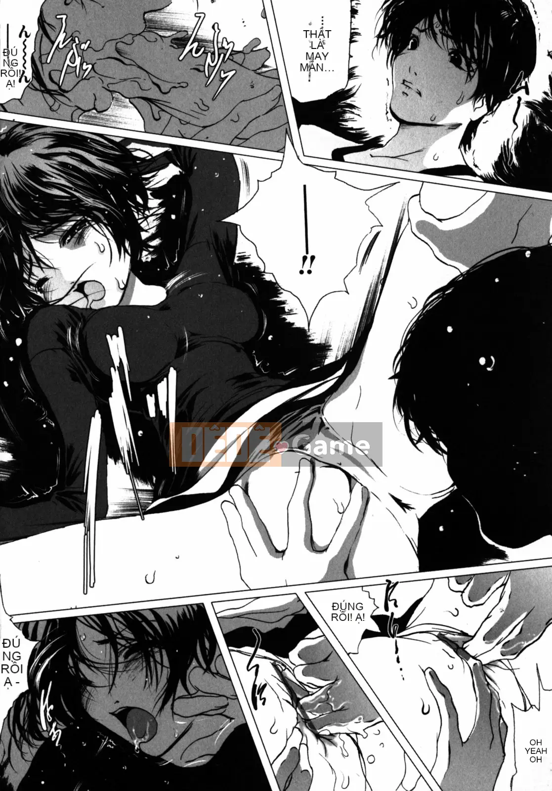 [LINDA] Bộ sưu tập tự chọn Koizuma Koizuma LINDA Shobunkan