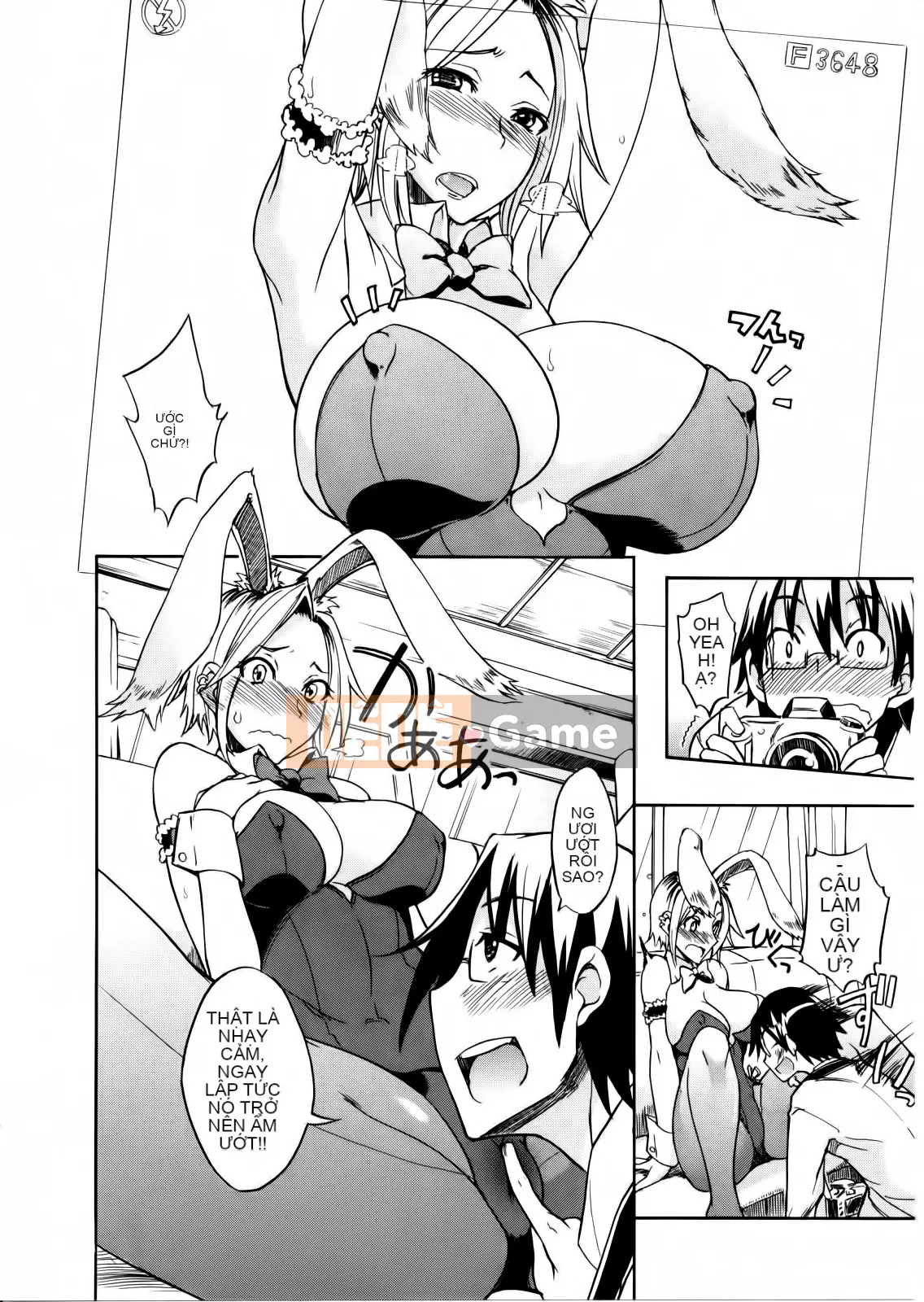 [isao] bánh pudding thô