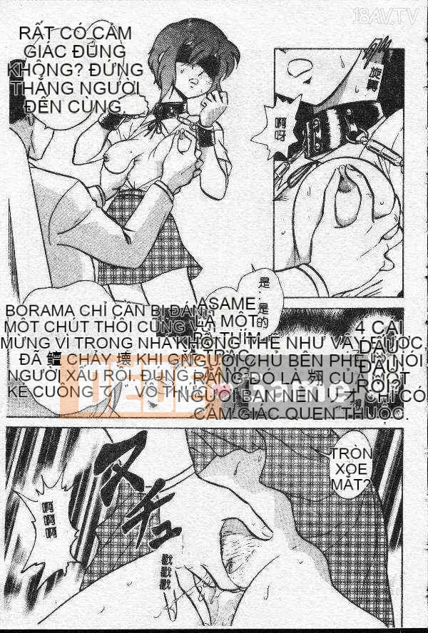 [Mayano Yangtaro] Dọn nhà vệ sinh (tiếng Trung)