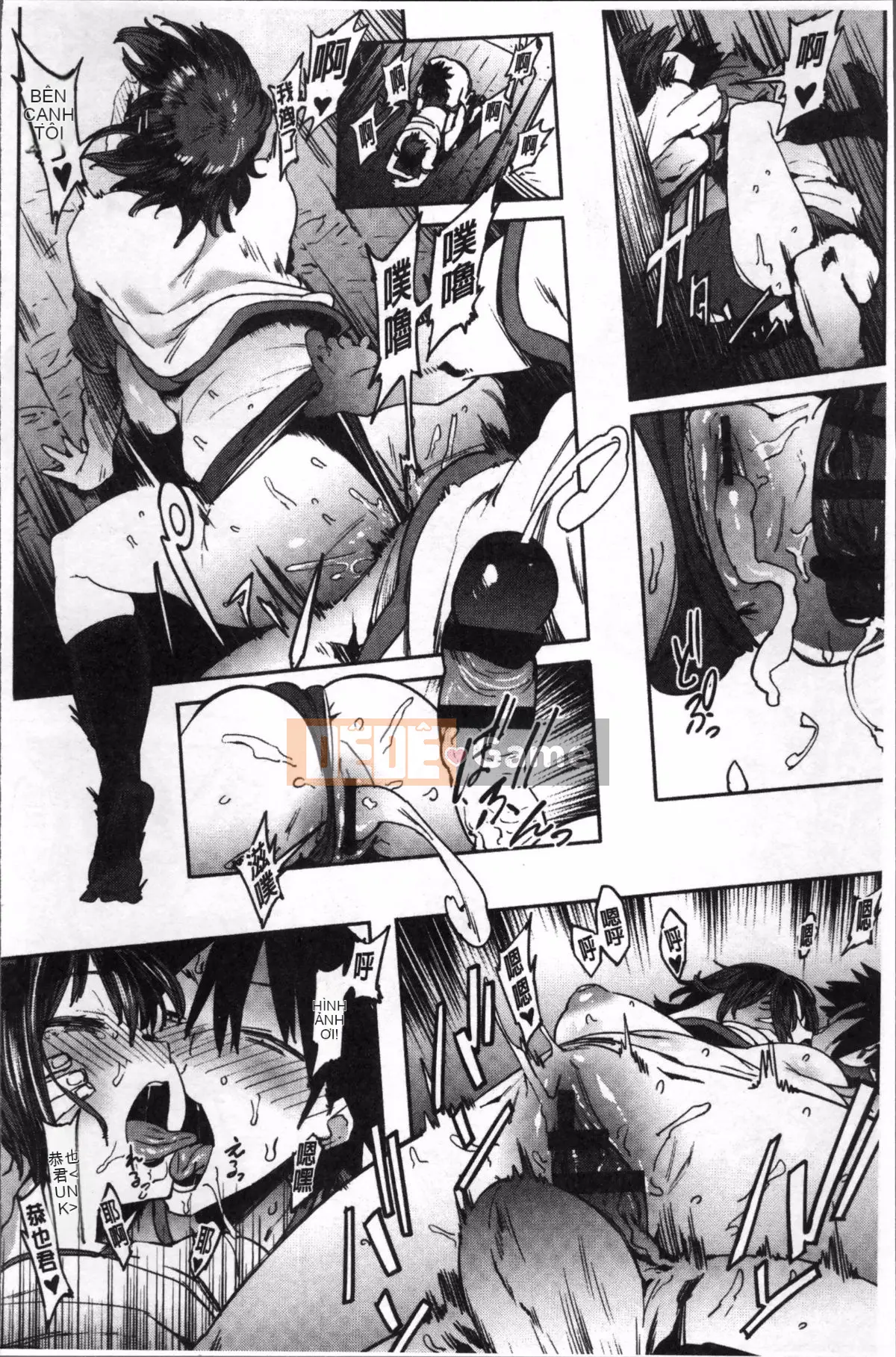 [Pija] Này, hãy làm đi