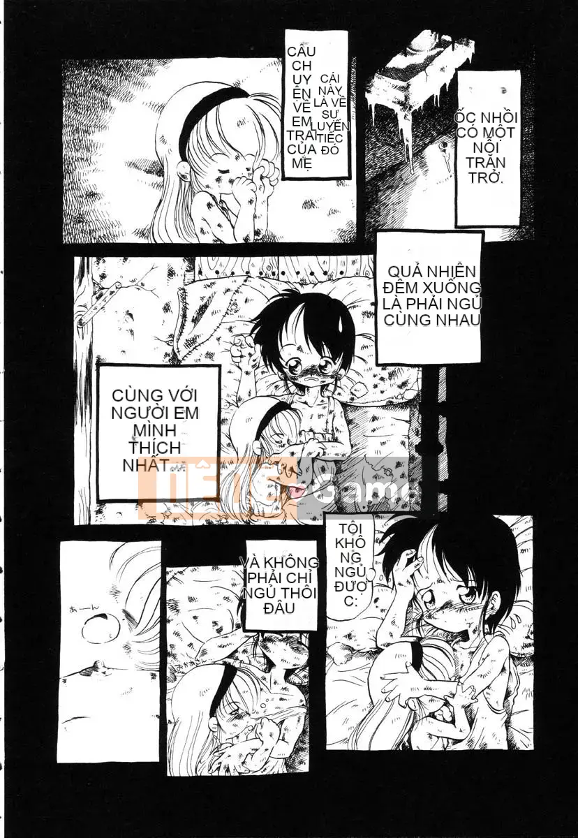 [Khai quật xương 3] Phố Xiashui