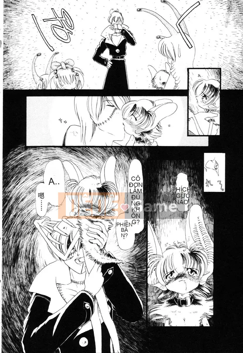 [Khai quật xương 3] Phố Xiashui