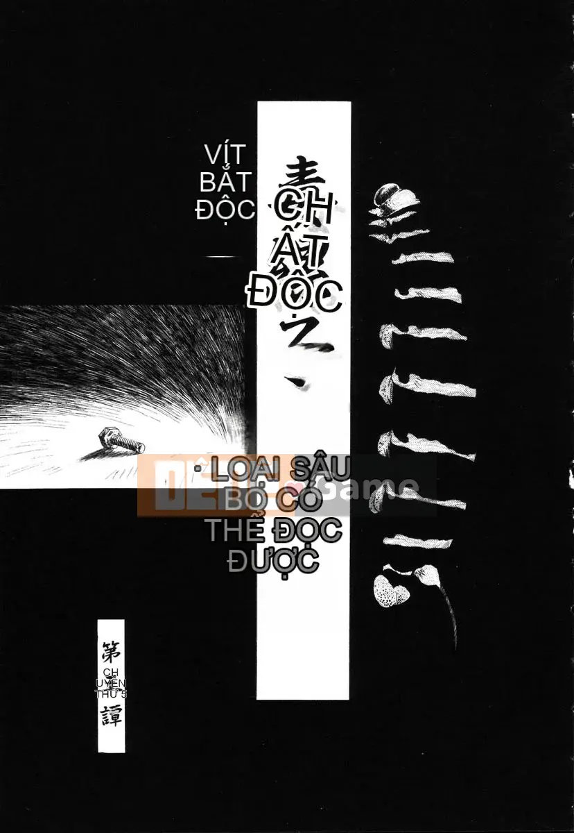 [Khai quật xương 3] Phố Xiashui