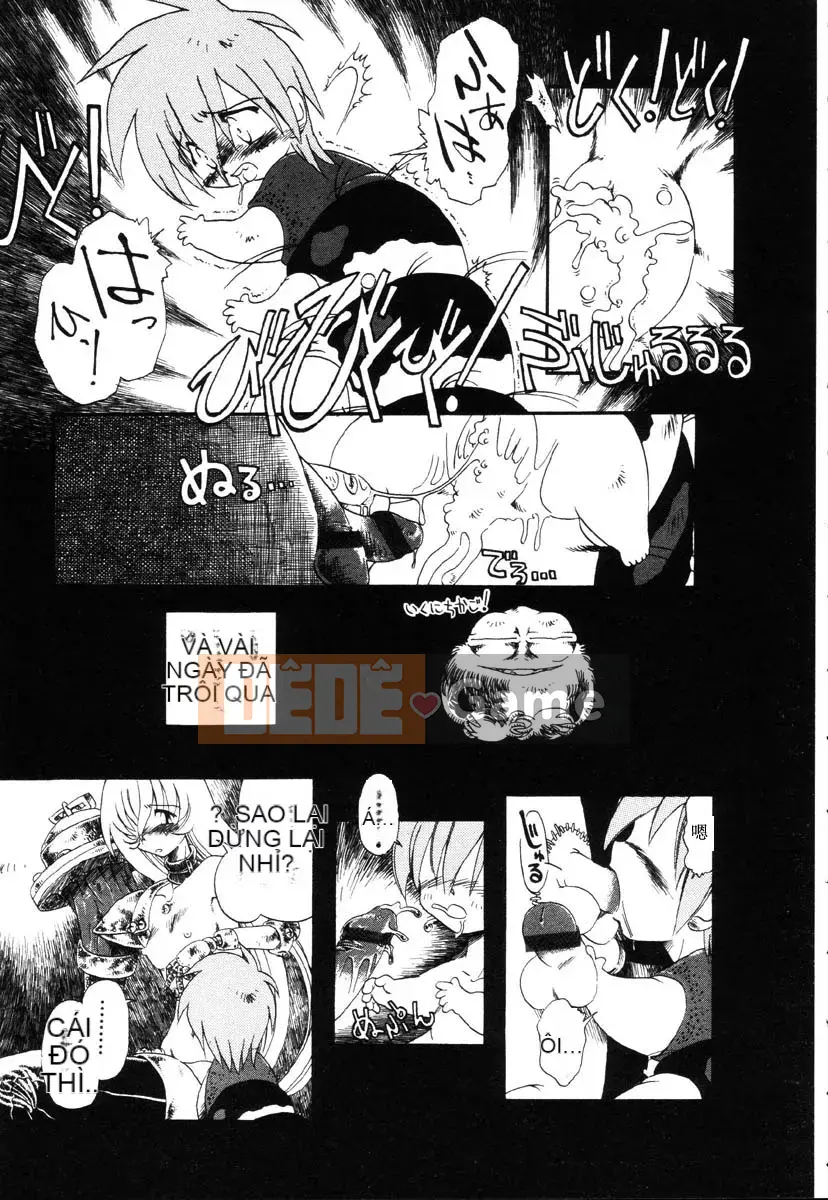 [Khai quật xương 3] Phố Xiashui