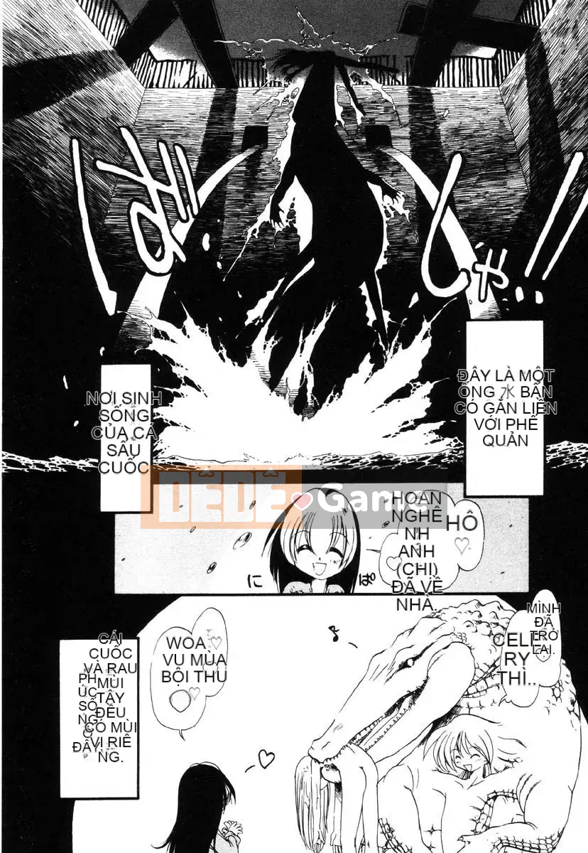 [Khai quật xương 3] Phố Xiashui