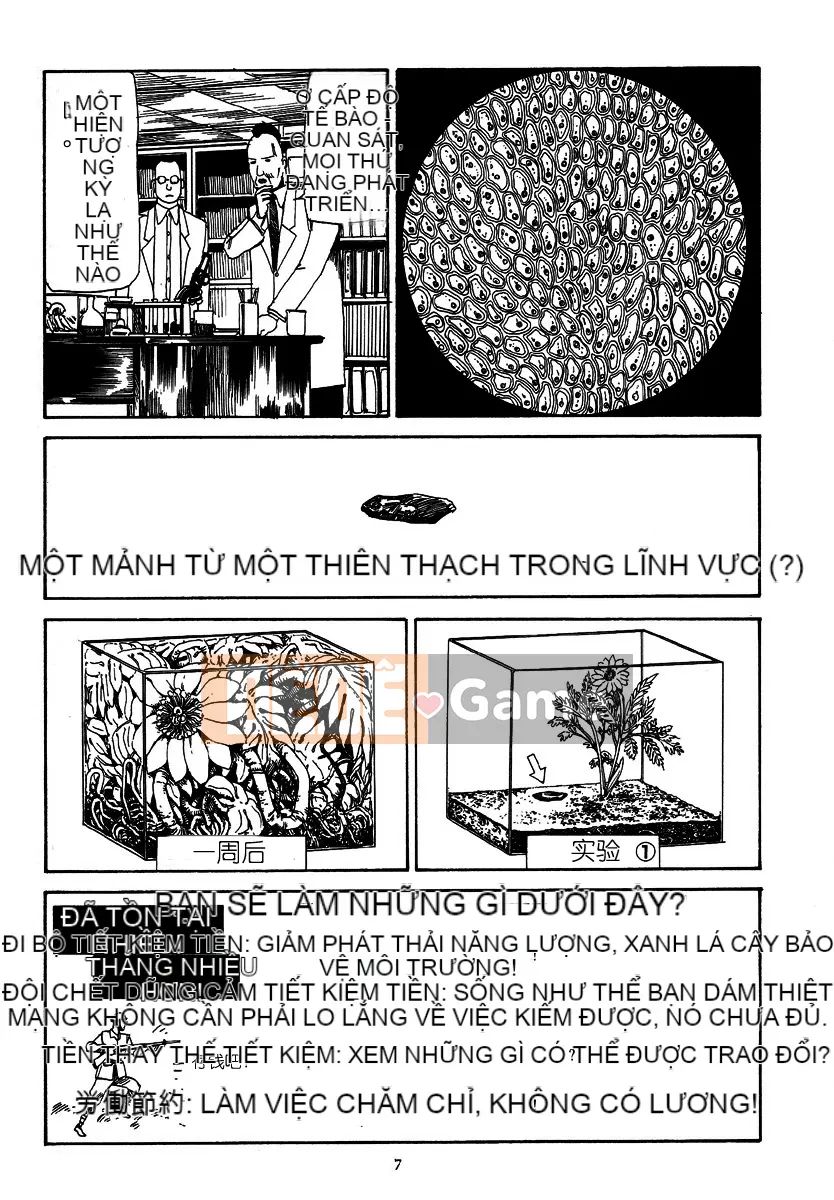 [Shintaro Kago] Tỏa sáng! Khối thịnh vượng chung Đại Đông Á