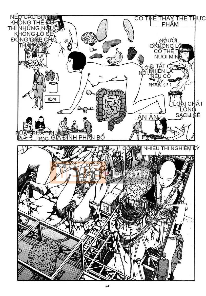 [Shintaro Kago] Tỏa sáng! Khối thịnh vượng chung Đại Đông Á